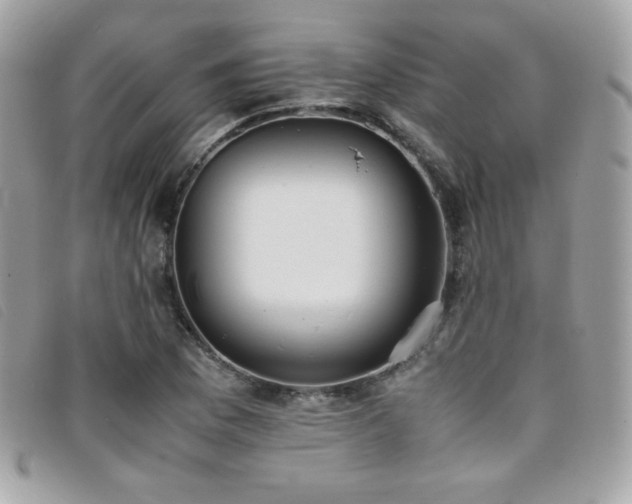X0000095891169200801111149