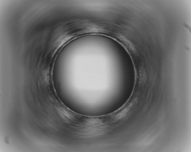 X0000095891170200801111149