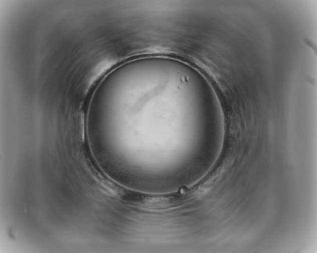 X0000095891171200801111149