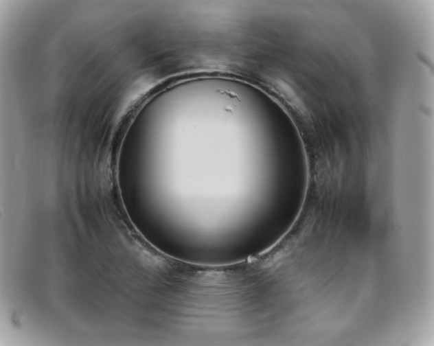X0000095891172200801111149
