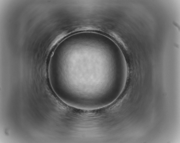 X0000095891173200801111149