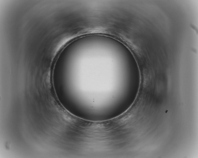 X0000095891174200801111149