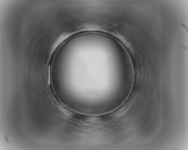 X0000095891175200801111149