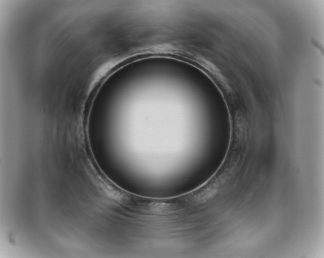 X0000095891176200801111149