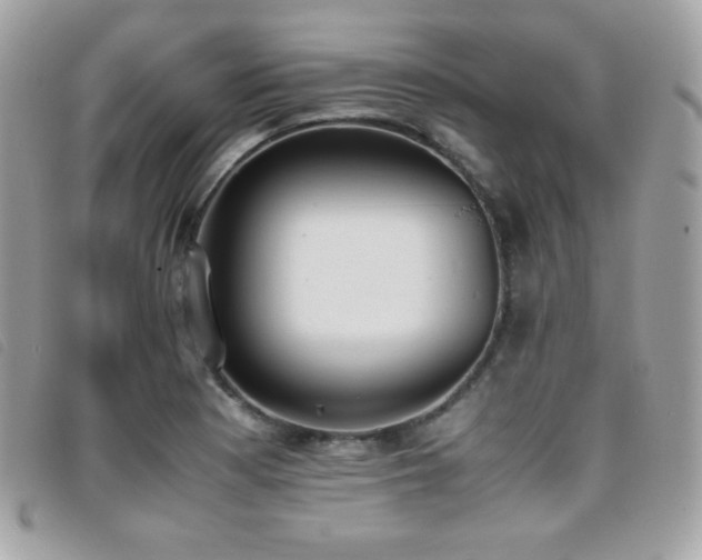 X0000095891177200801111149