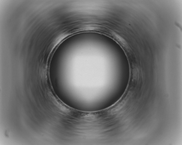 X0000095891178200801111149