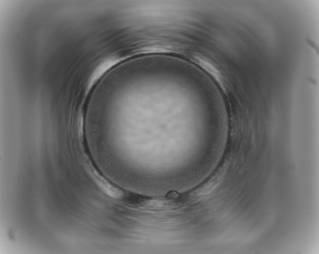 X0000095891179200801111149