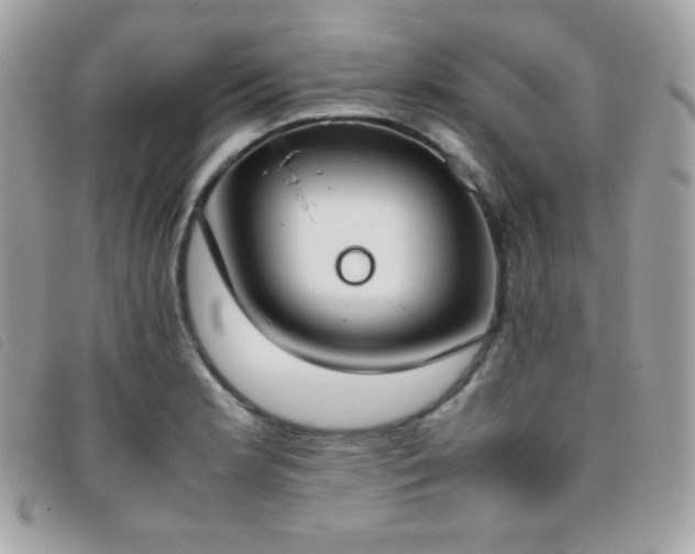 X0000095891181200801111149