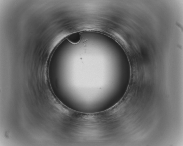 X0000095891182200801111149