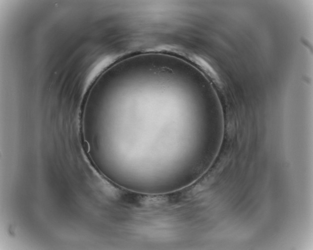 X0000095891183200801111149