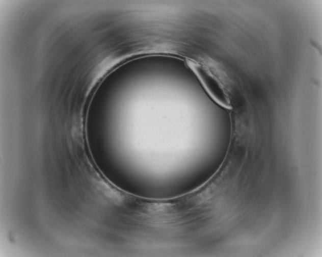 X0000095891184200801111149