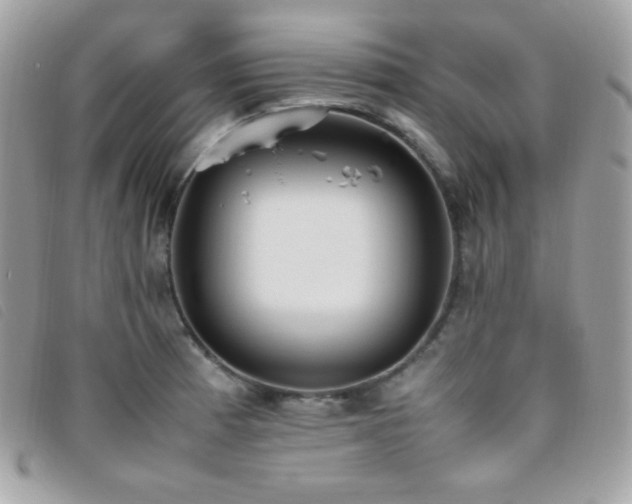 X0000095891185200801111149