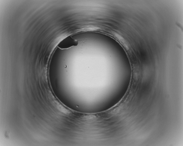 X0000095891186200801111149