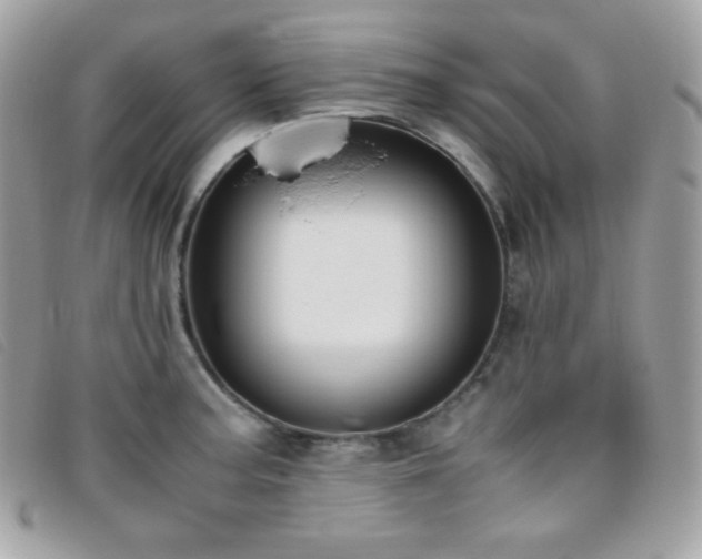 X0000095891187200801111149