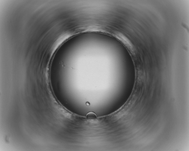 X0000095891190200801111149