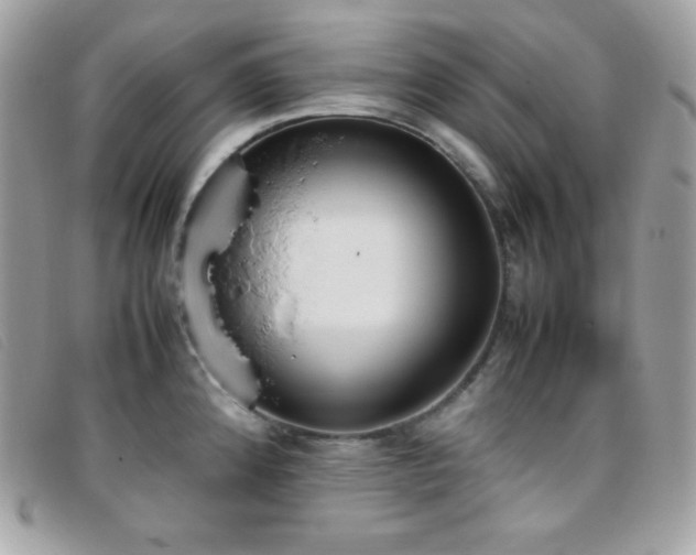 X0000095891192200801111149