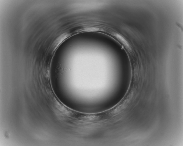 X0000095891193200801111149
