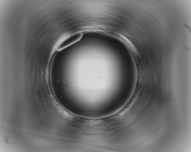 X0000095891196200801111149