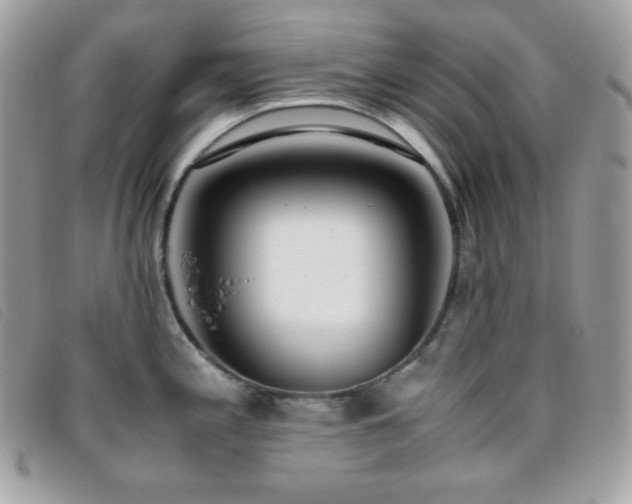 X0000095891197200801111149