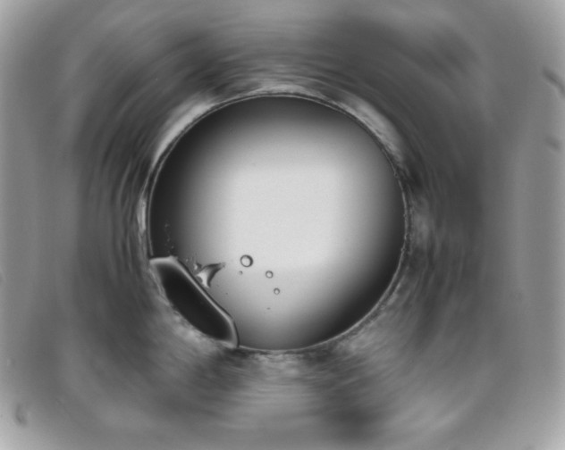 X0000095891198200801111149