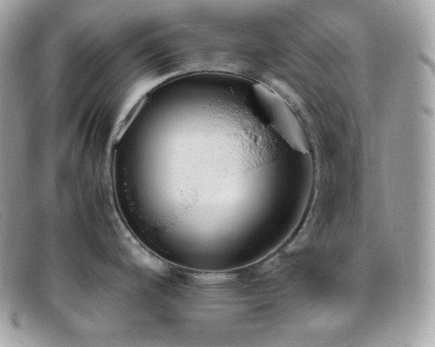 X0000095891200200801111149