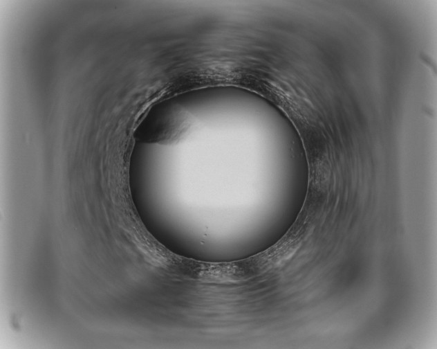 X0000095891201200801111148