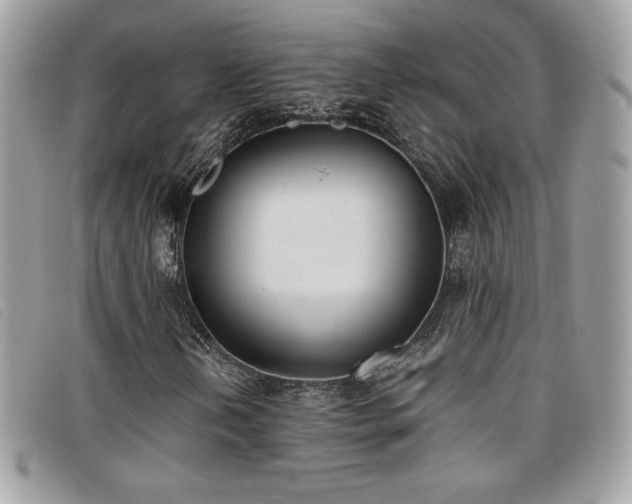 X0000095891202200801111148