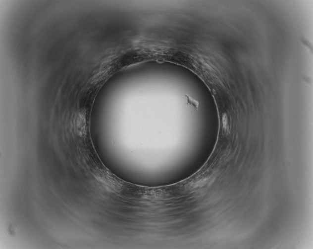 X0000095891203200801111148