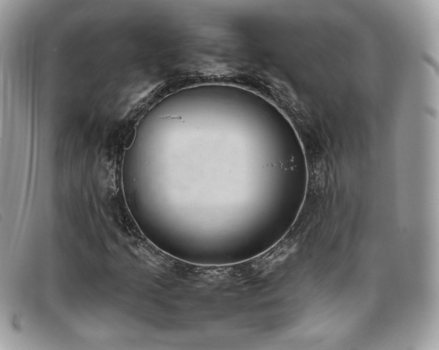 X0000095891205200801111148