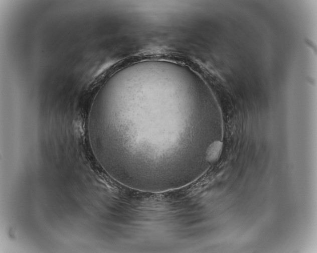 X0000095891206200801111148