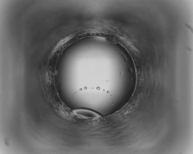 X0000095891207200801111148