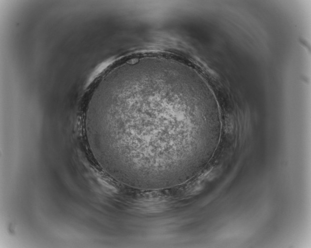 X0000095891208200801111148
