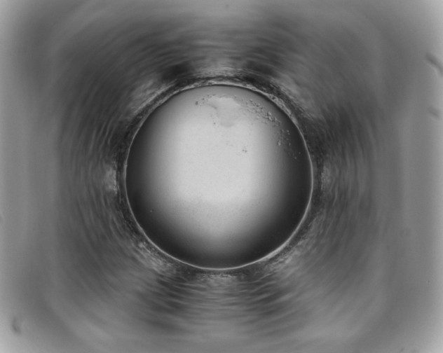 X0000095891209200801111148