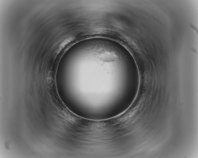X0000095891210200801111148