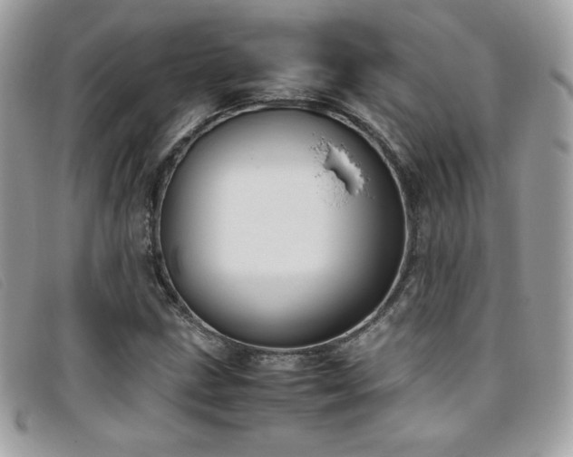 X0000095891211200801111148