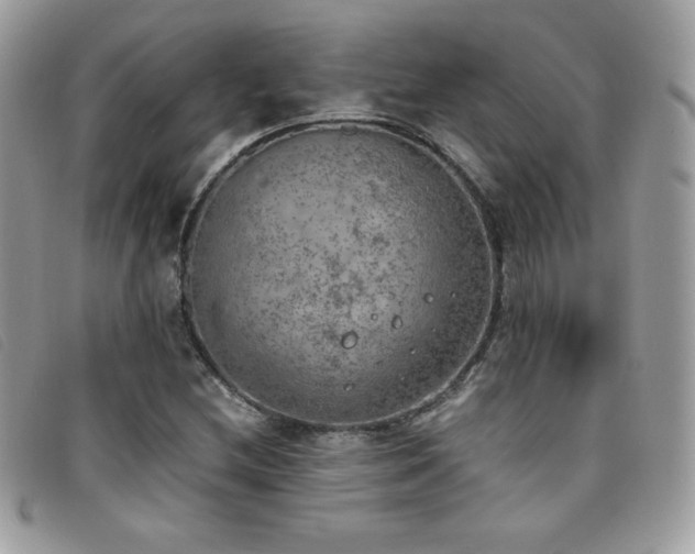X0000095891212200801111148