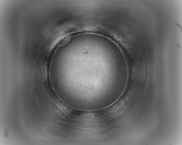 X0000095891214200801111148