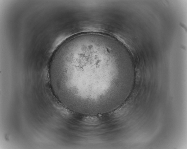 X0000095891215200801111148