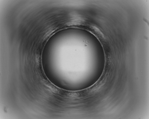 X0000095891217200801111148