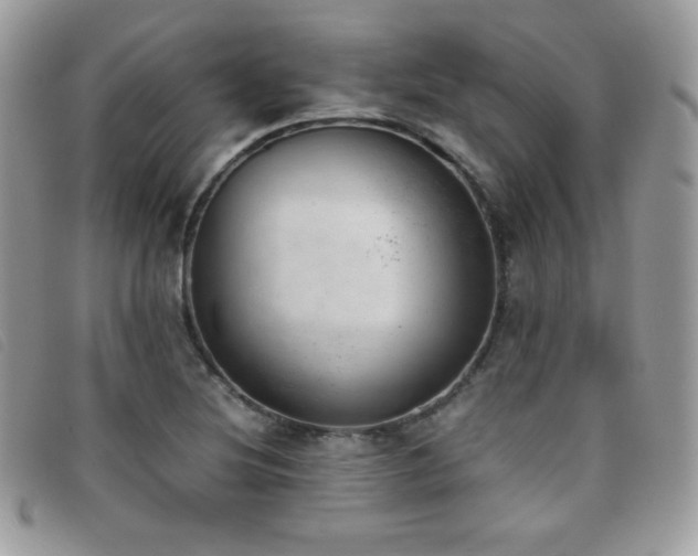 X0000095891220200801111148