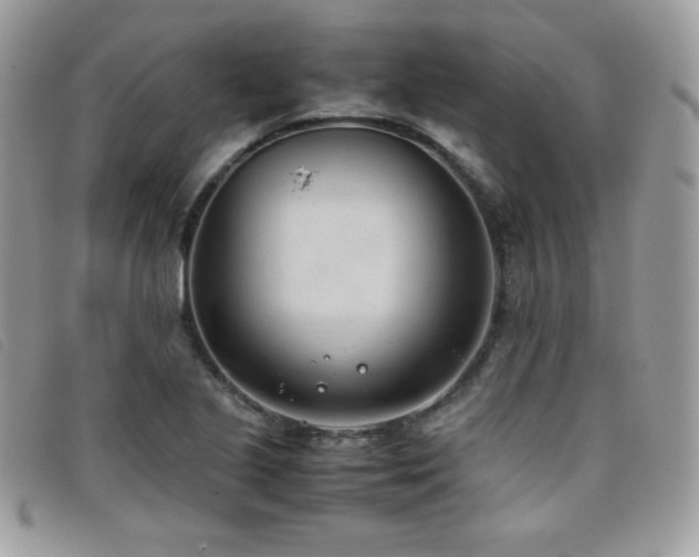 X0000095891221200801111148