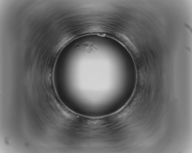 X0000095891225200801111148