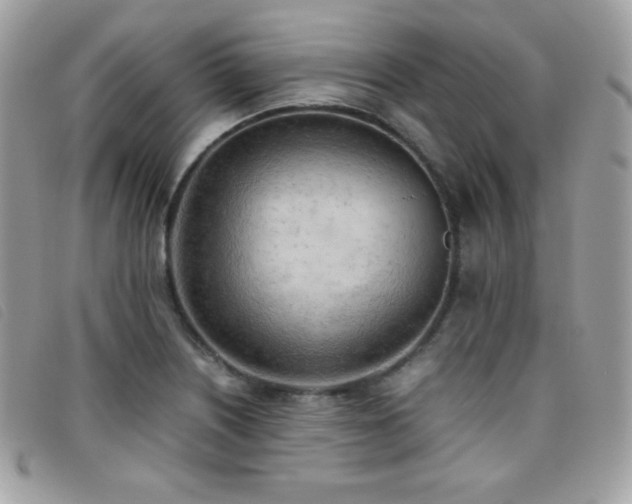 X0000095891226200801111148