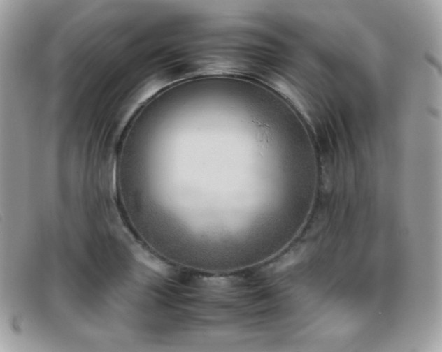 X0000095891227200801111148