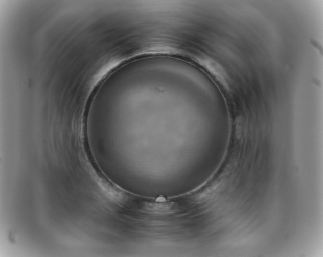 X0000095891229200801111148