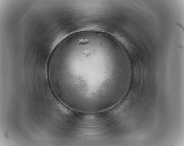 X0000095891230200801111148