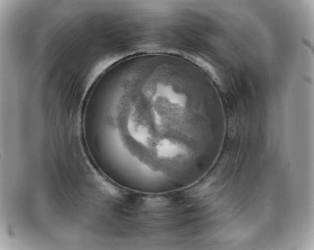 X0000095891231200801111148