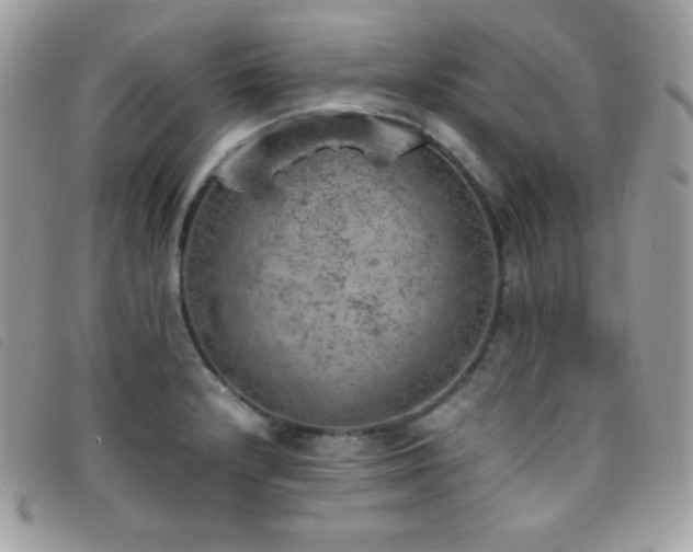 X0000095891232200801111148