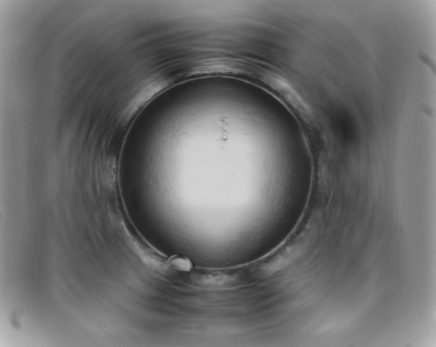 X0000095891233200801111148