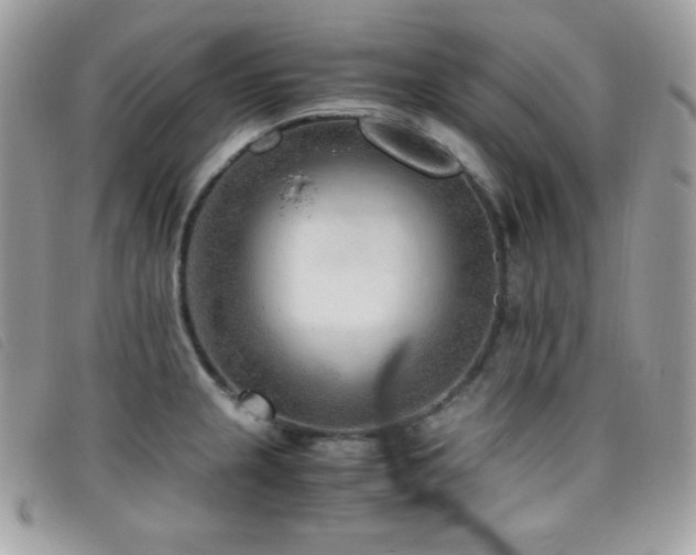 X0000095891237200801111148